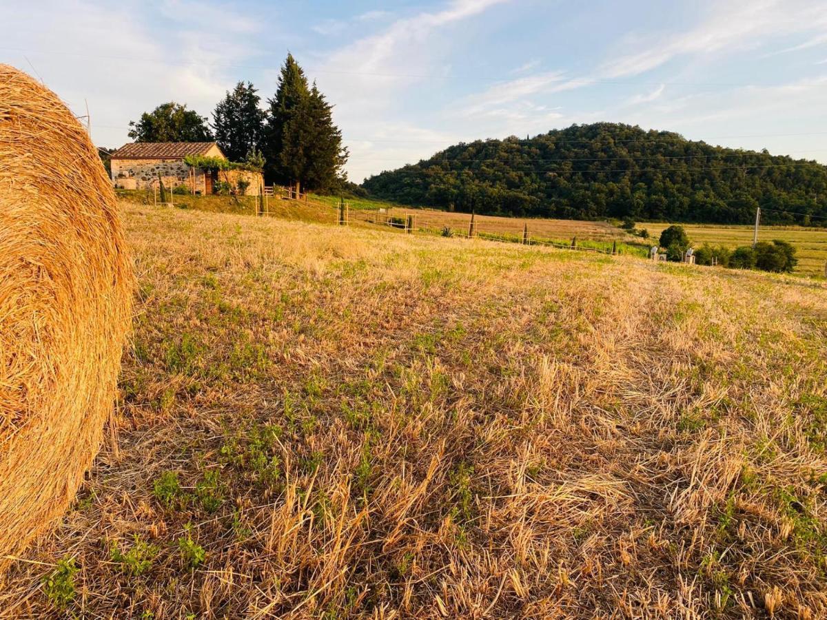 Podere La Selva Раполано-Терме Екстер'єр фото