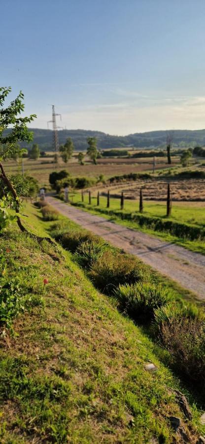 Podere La Selva Раполано-Терме Екстер'єр фото