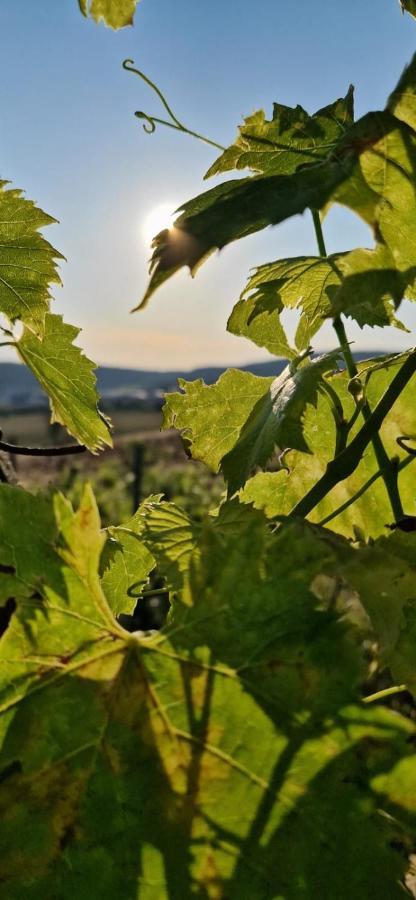 Podere La Selva Раполано-Терме Екстер'єр фото