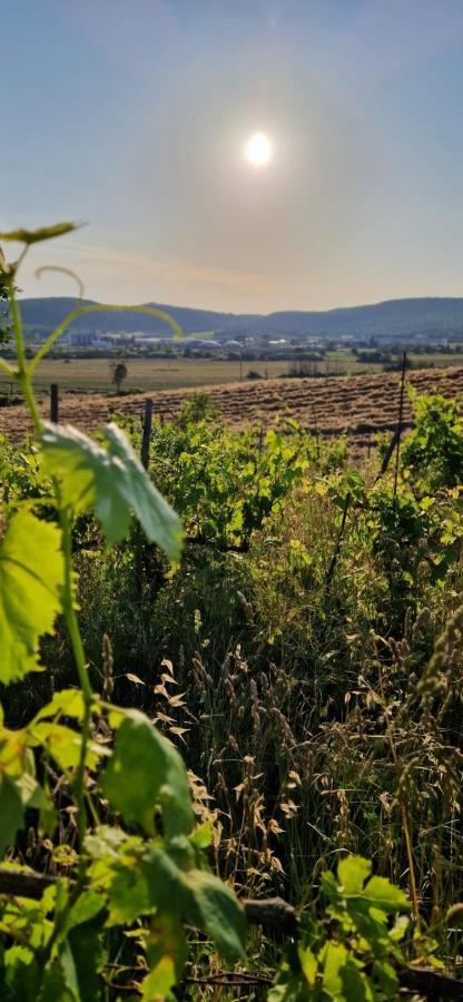 Podere La Selva Раполано-Терме Екстер'єр фото